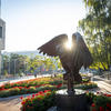 Owl in founders garden