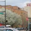 campus buildings and trees